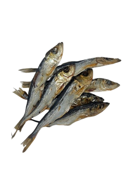 Dried Herring